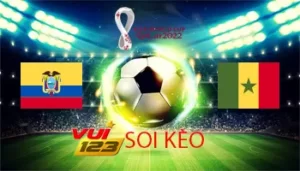 Gamevui123 soi kèo Ecuador vs Senegal 29-11-2022