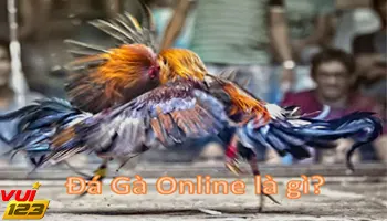 Đá gà Online là gì?